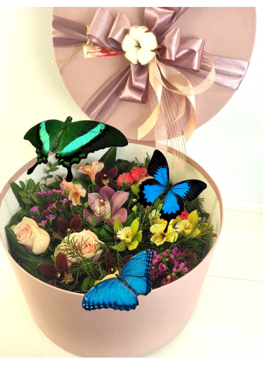 Метелики в коробцi з квiтамі