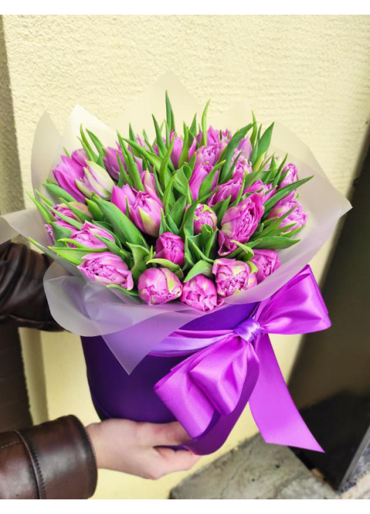 Фіолетовий тюльпан у капелюшної коробці