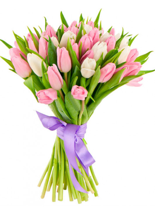 Букет білих та рожевих тюльпанів