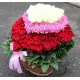 Серце лицаря