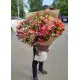 Величезний букет диких орхідей Величезний букет диких орхідей