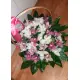 Тропічний рай
