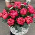 Півонії у кошику