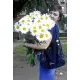 Букет ромашек Букет ромашек