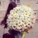 Букет ромашек Букет ромашек