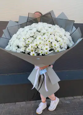Хризантеми
