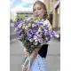 Біло-фіолетова еустома
