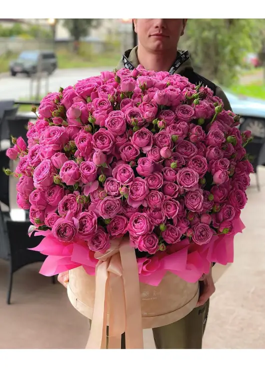 Кущова піоноподібна троянда  у коробці