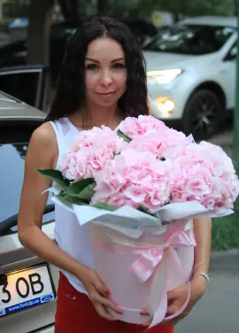 Гортензія у  коробці