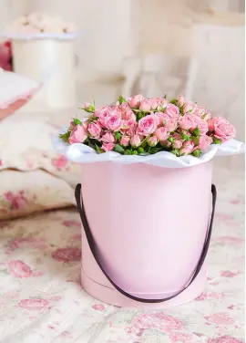 кущова троянда у коробці