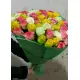 51 різнокольорова троянда