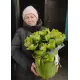 Орхідея мікс у коробці Орхідея мікс у коробці