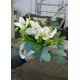 Орхідея у коробці Орхідея у коробці