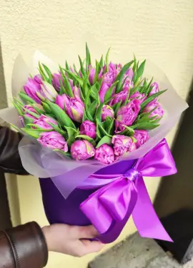 Фіолетовий тюльпан у капелюшної коробці
