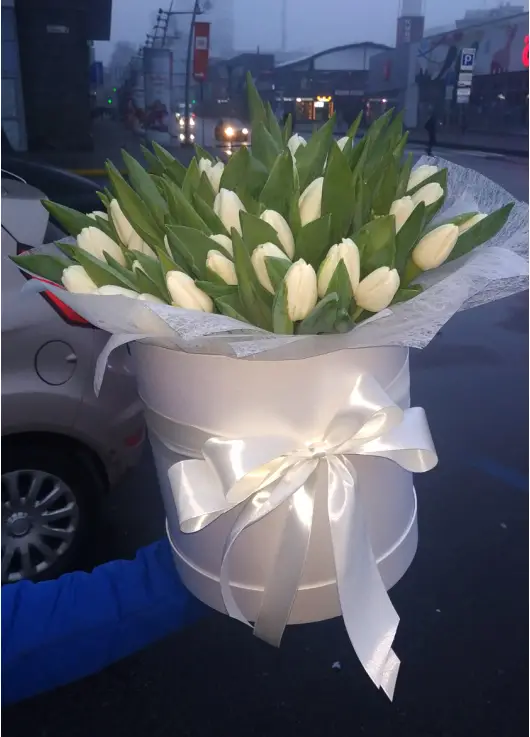 Білий тюльпан у капелюшної коробці Білий тюльпан у капелюшної коробці