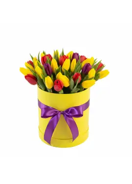 25 мікс тюльпанів у коробці (імпорт, Нідерланди)