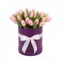 Рожеві тюльпани в коробці
