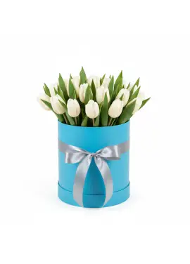 25 білих тюльпанів у коробці (імпорт, Нідерланди)