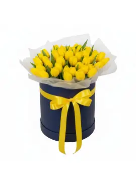 51 жовтих тюльпанів у коробці (імпорт, Нідерланди)