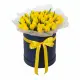 51 жовтих тюльпанів у коробці (імпорт, Нідерланди)