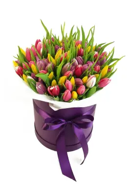 75 мікс тюльпанів у коробці (імпорт, Нідерланди)
