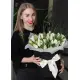 Білий тюльпан у капелюшної коробці Білий тюльпан у капелюшної коробці
