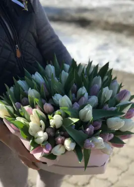 51 тюльпан у капелюшної коробці