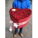 Моє серце для єдиної Моє серце для єдиної
