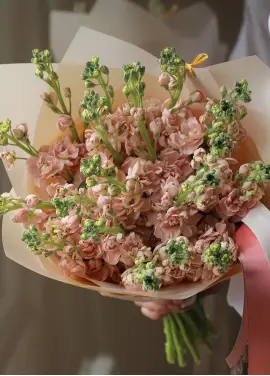 Кремова маттіолла