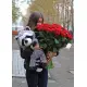 Кохаю!