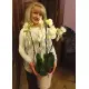 Орхідея у горшику