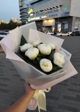 Білі  Півонії Дніпро