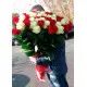 Голандські троянди
