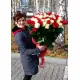 Голандські троянди 51 шт.