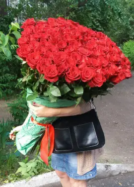 101 метрова троянда