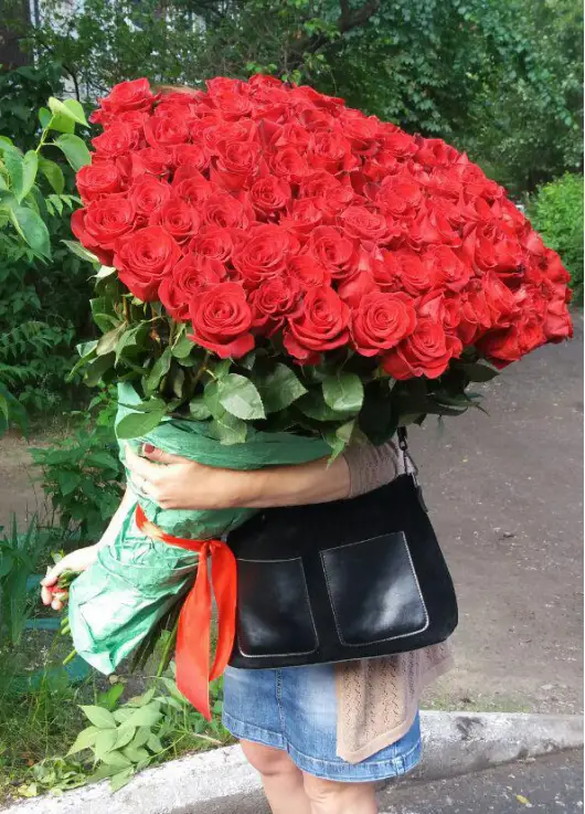 101 метрова троянда