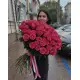 101 метрова рожева троянда 101 метрова рожева троянда