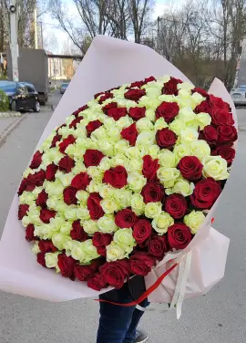 101 червона і біла троянда "Мілан" 70см