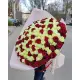 101 червона і біла троянда "Мілан" 70см