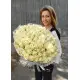 101 біла троянда "Класика" 101 біла троянда "Класика"