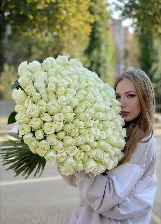 151 Біла троянда - букет "Білосніжка" 151 Біла троянда - букет "Білосніжка"