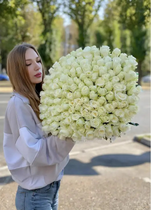 151 Біла троянда - букет "Білосніжка" 151 Біла троянда - букет "Білосніжка"