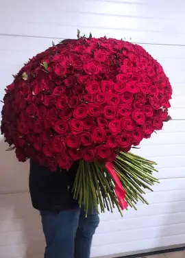 333 червоних троянди