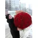 333 червоних троянди