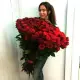 201 червоних троянди
