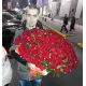 201 червоних троянди