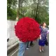 333 червоних троянди