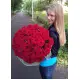51 червона троянда 51 червона троянда
