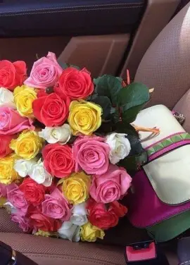 51 різнокольорова троянда
