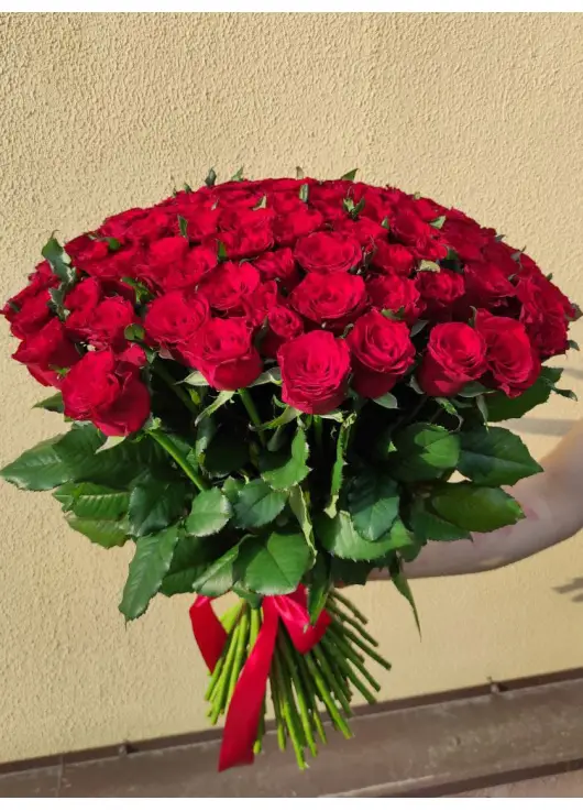 51 червона троянда 51 червона троянда
